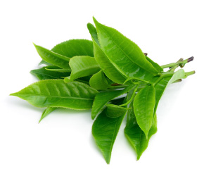 Zelený čaj - způsobuje hubnutí a čistí